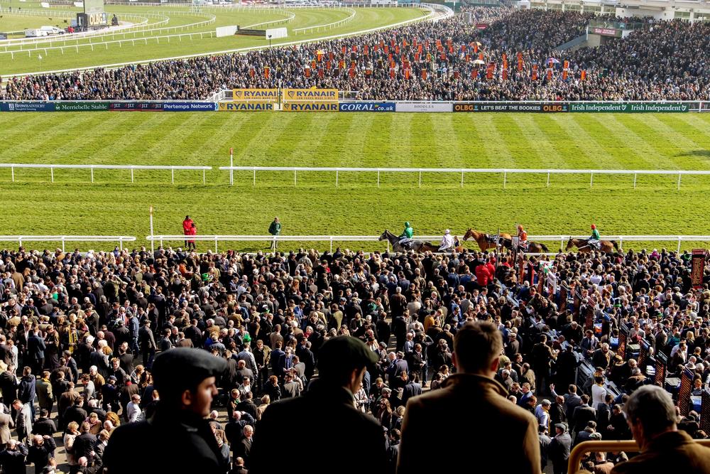Cheltenham Festival: Private Lollipop Box with Members Seats photo 2