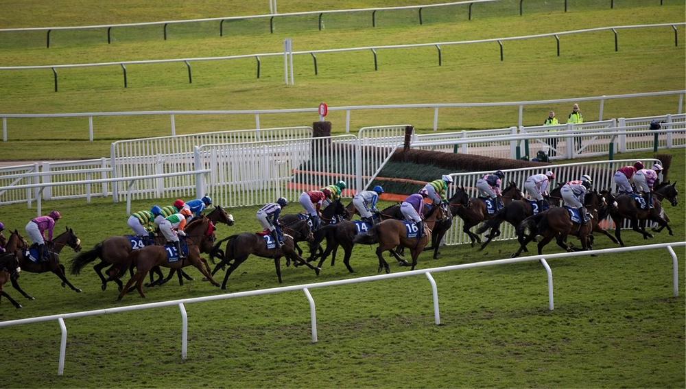 Cheltenham Festival: Private Lollipop Box with Members Seats photo 4
