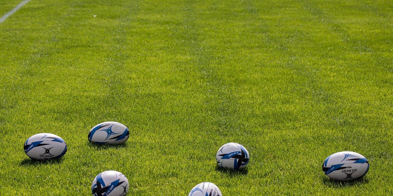 rugby-balls-gd08ca61e2_1280