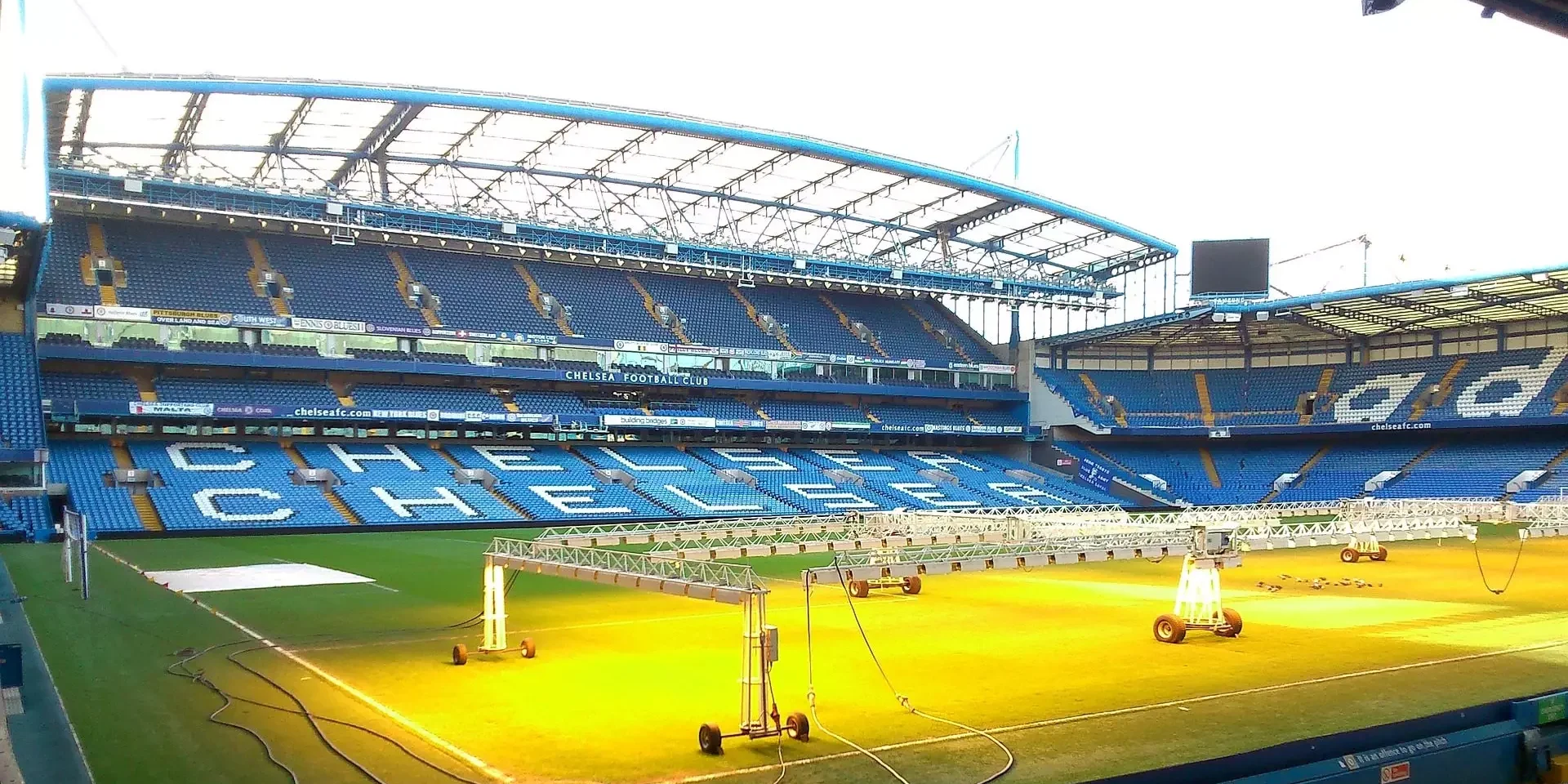 chelsea